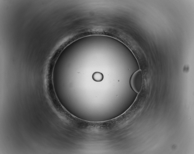 X0000103220728200808281407