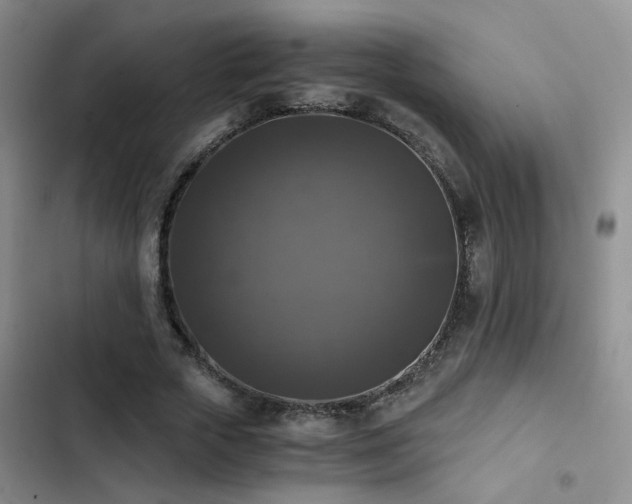X0000103220729200808281407