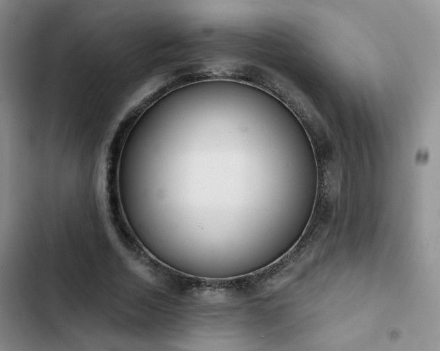 X0000103220730200808281407
