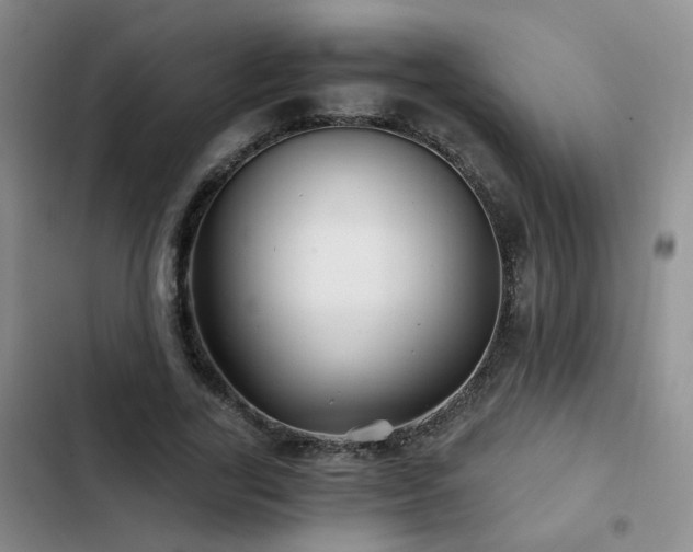 X0000103220731200808281407