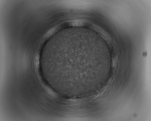 X0000103220733200808281407