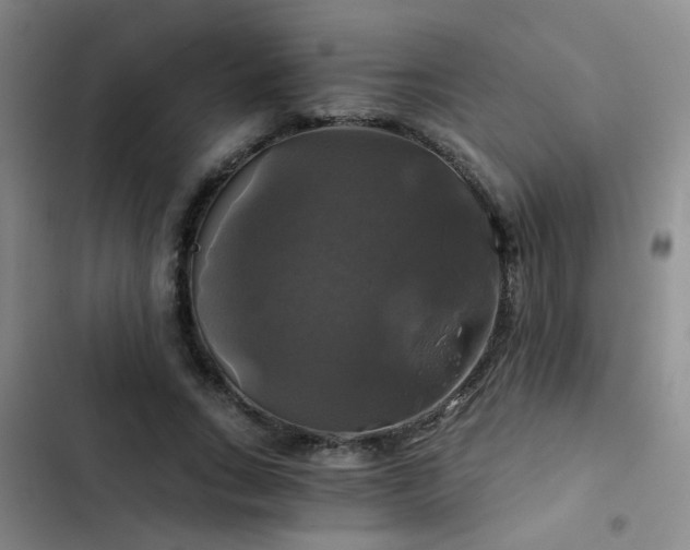 X0000103220735200808281407