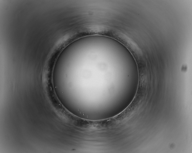 X0000103220736200808281407