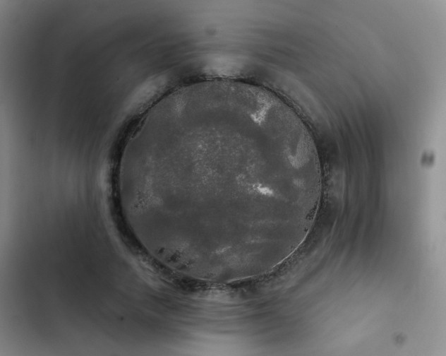 X0000103220738200808281407