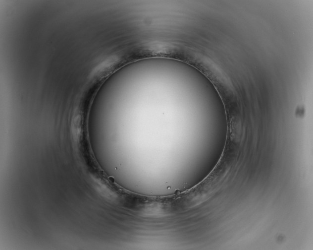 X0000103220740200808281407