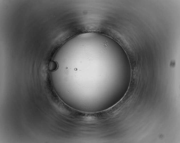 X0000103220741200808281407