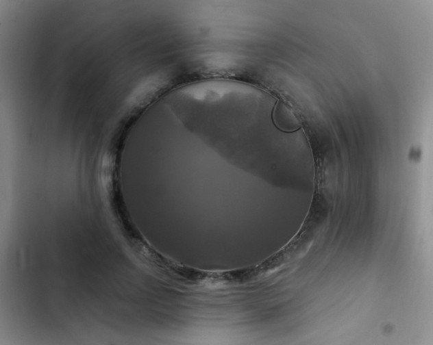 X0000103220742200808281407
