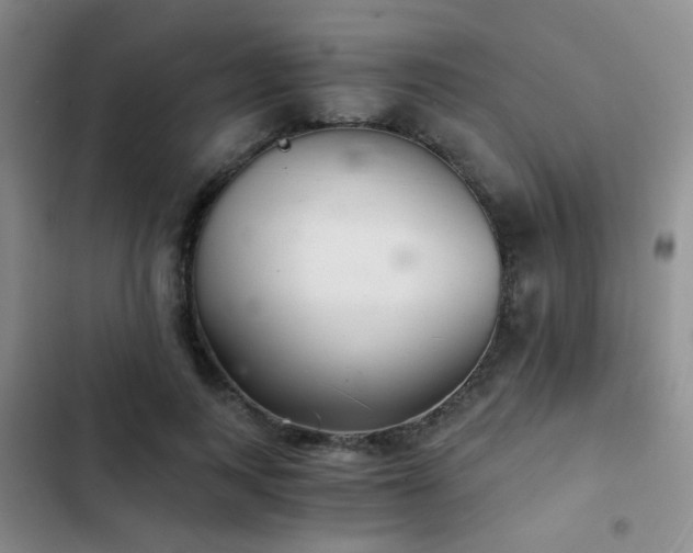 X0000103220743200808281407