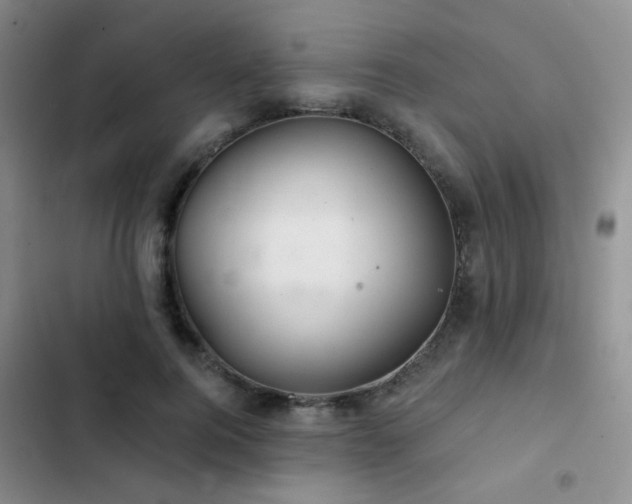 X0000103220744200808281407