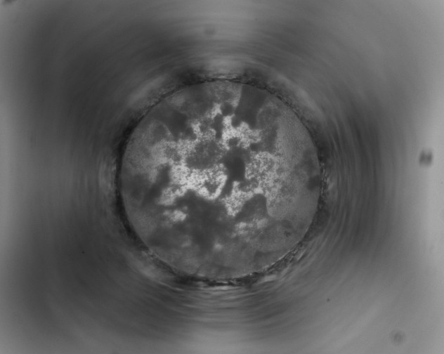 X0000103220745200808281407