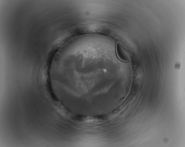 X0000103220746200808281407