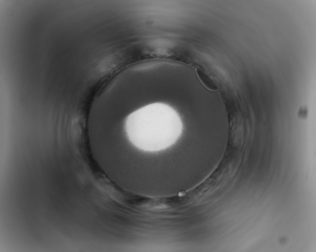 X0000103220747200808281407