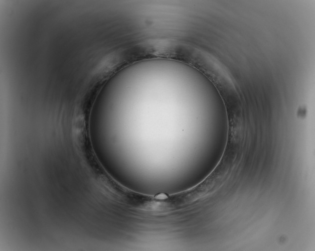 X0000103220748200808281407