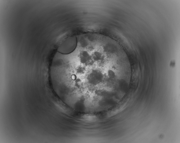 X0000103220749200808281407