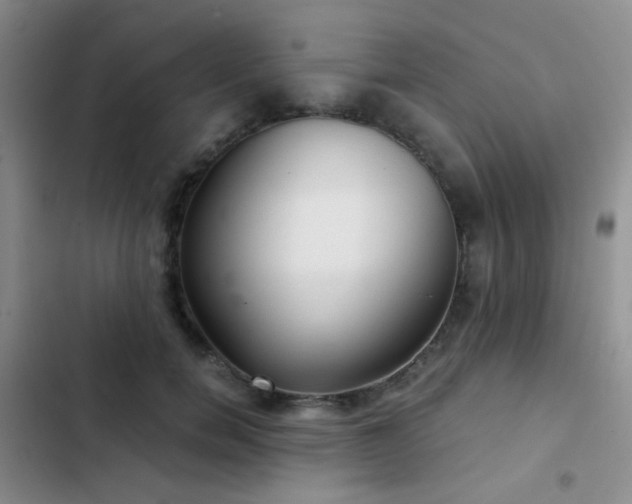 X0000103220750200808281407