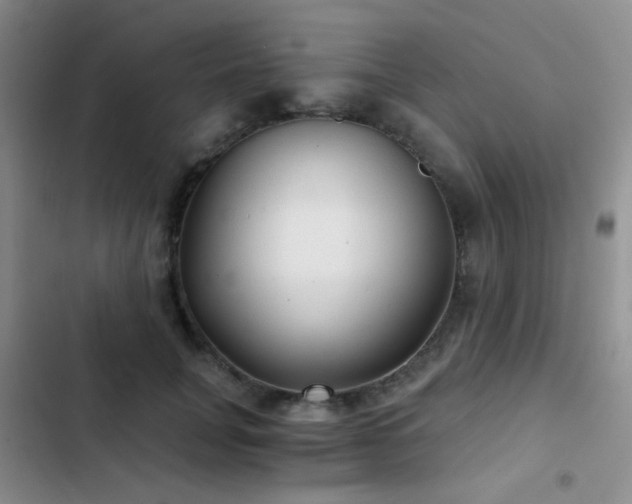 X0000103220751200808281407