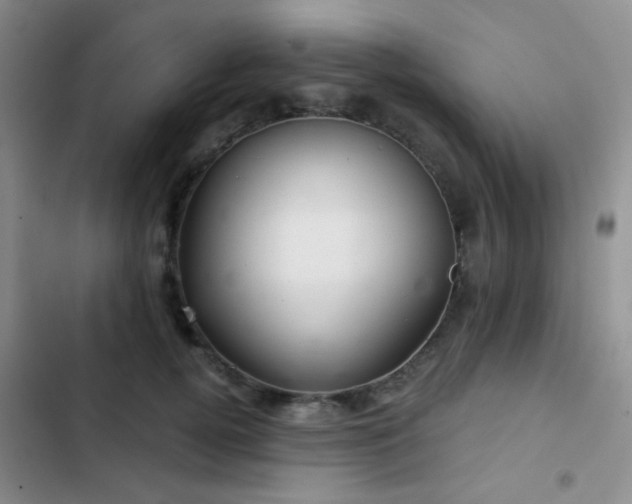 X0000103220752200808281407
