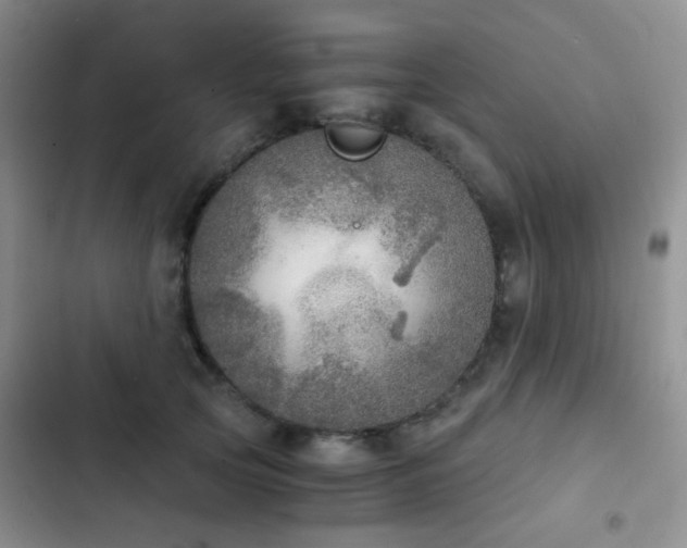 X0000103220753200808281407