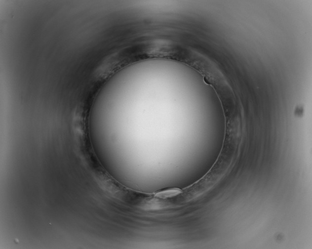 X0000103220755200808281407