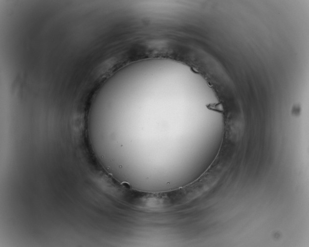 X0000103220756200808281407