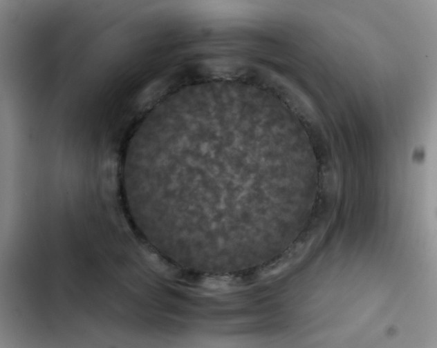 X0000103220757200808281407