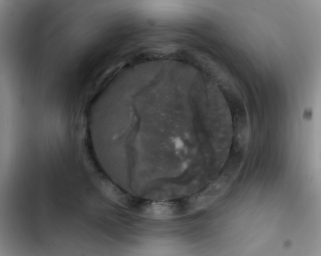 X0000103220758200808281407