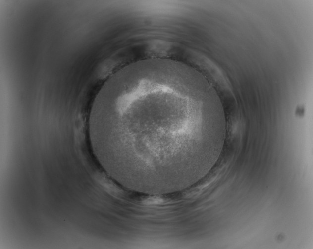 X0000103220759200808281407
