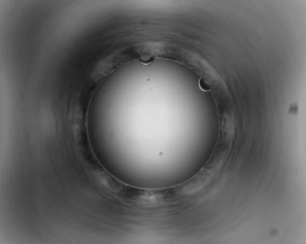 X0000103220760200808281407