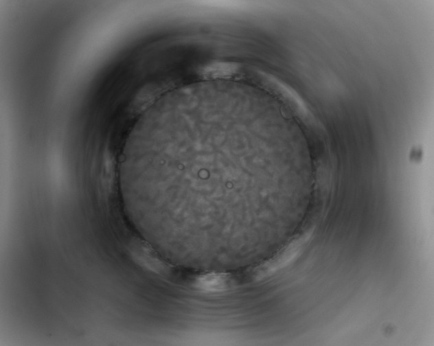 X0000103220761200808281407