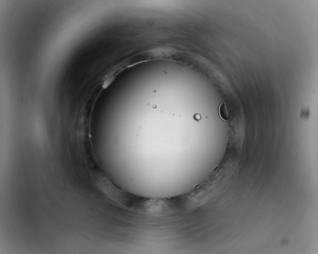 X0000103220762200808281407