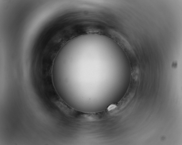 X0000103220763200808281407