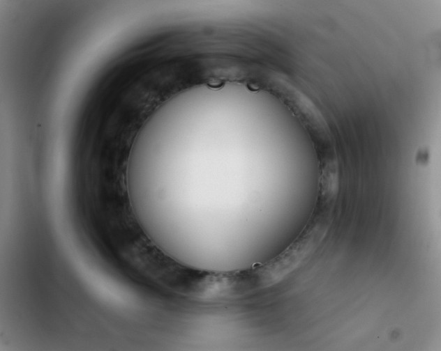 X0000103220764200808281407