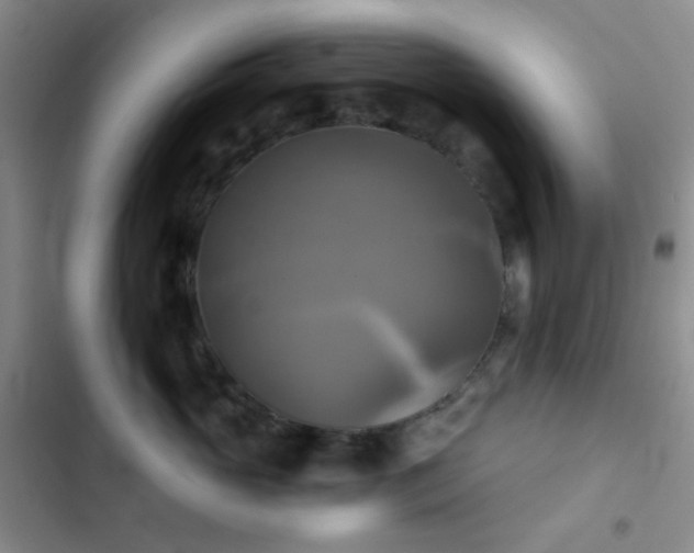 X0000103220765200808281407