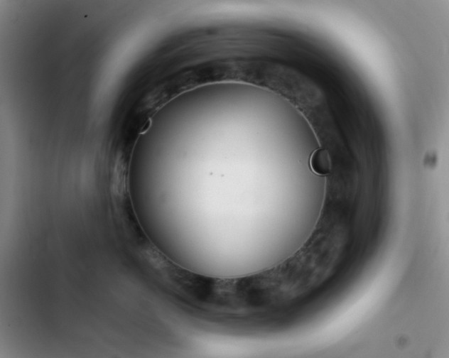 X0000103220766200808281407