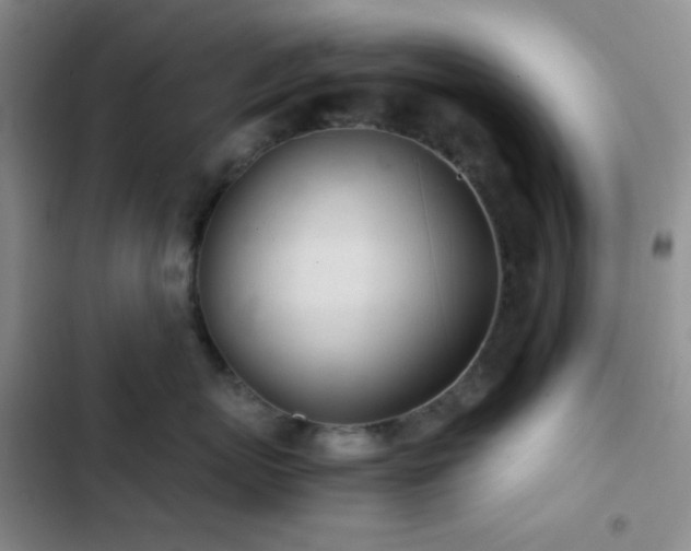 X0000103220767200808281407