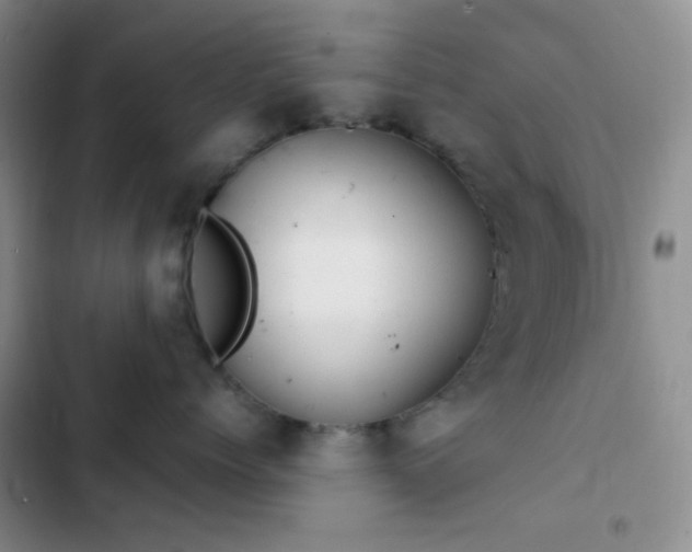 X0000103220768200808281407