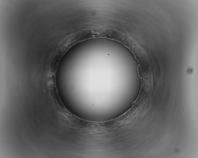 X0000103220770200808281407