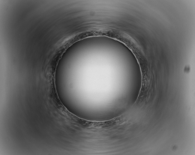X0000103220773200808281407