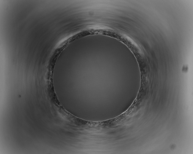 X0000103220775200808281407