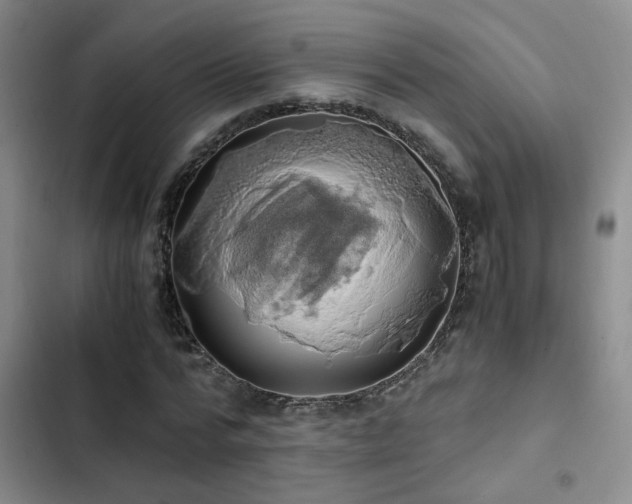 X0000103220776200808281407