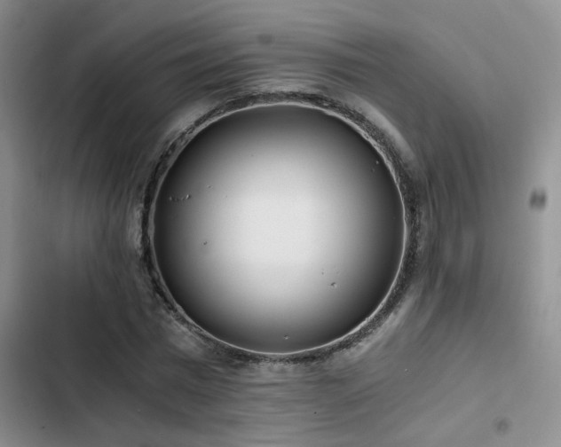 X0000103220777200808281407