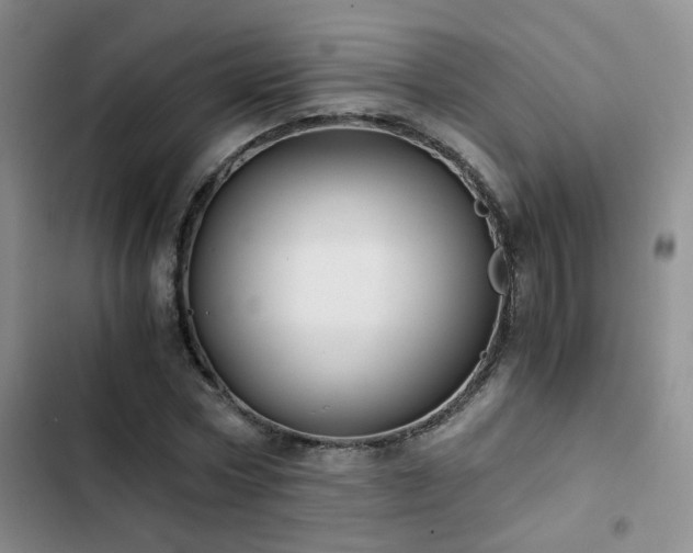 X0000103220778200808281407