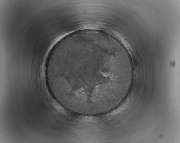 X0000103220779200808281407