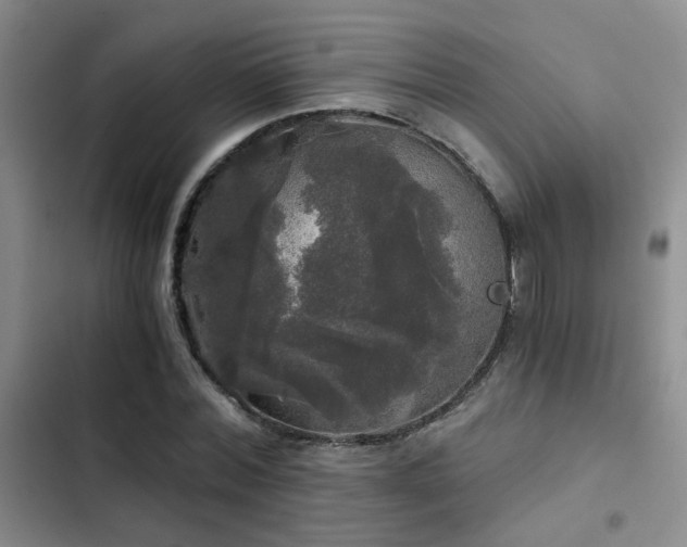 X0000103220780200808281407
