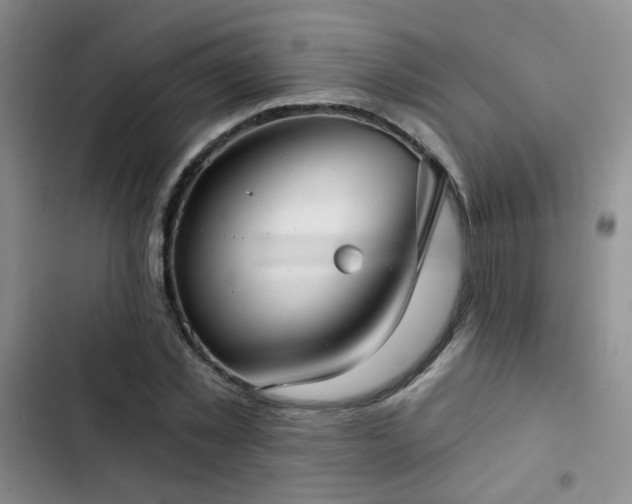 X0000103220781200808281407