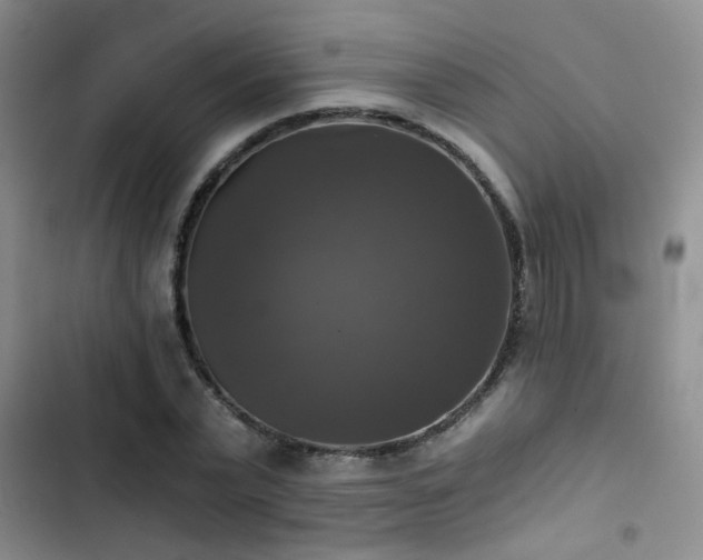 X0000103220783200808281407