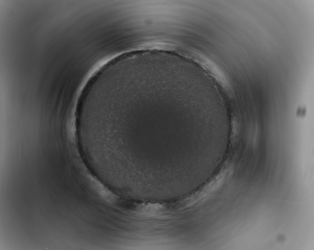 X0000103220784200808281407