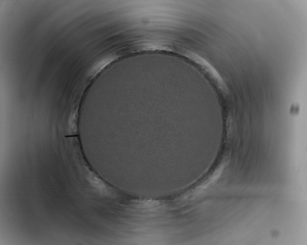 X0000103220785200808281407