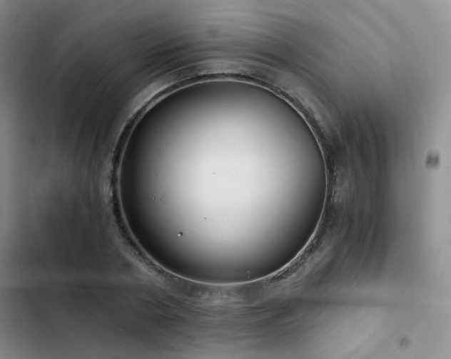 X0000103220786200808281407