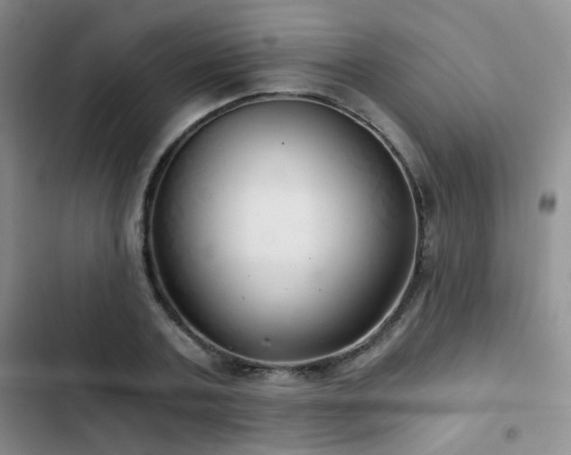 X0000103220787200808281407